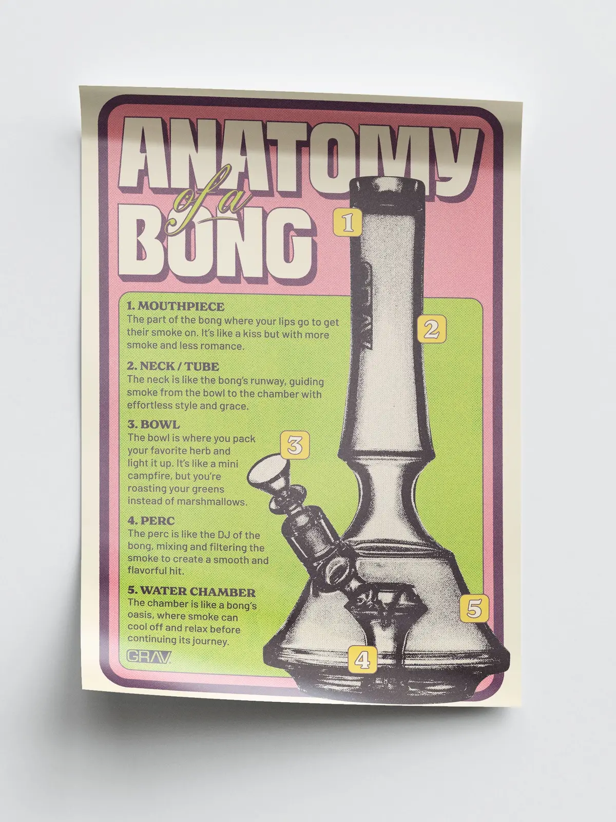 Grav® Anatomy Of A Bong Poster, 16 X 24" 1