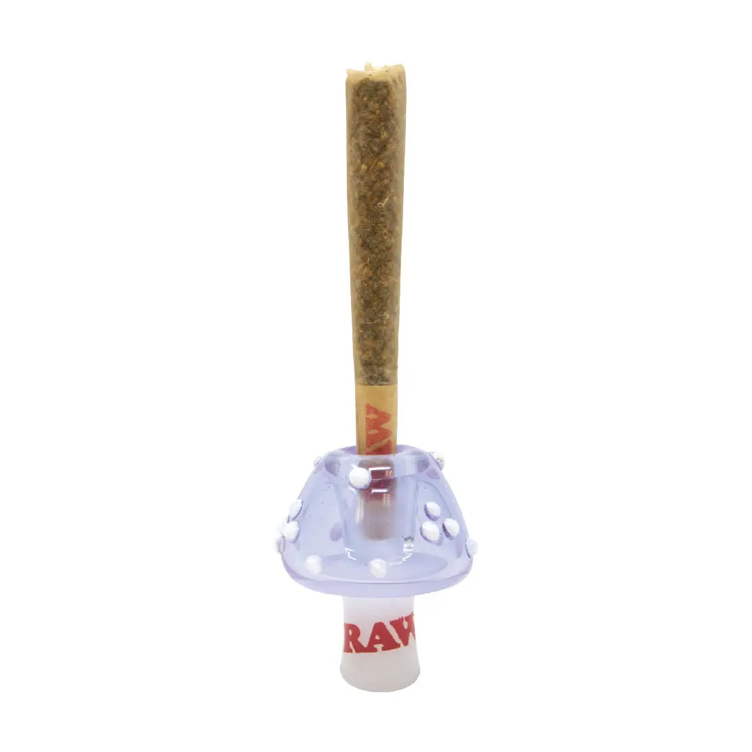 Raw Glass Cone Holders 1