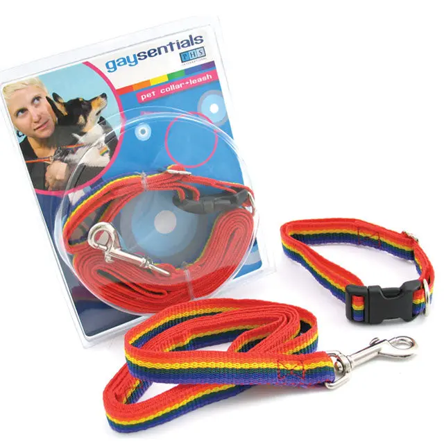 Gaysentials Rainbow Pet Leash/Collar Combo 1