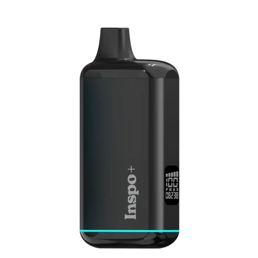 Randy's Inspo Plus Vaporizer 1