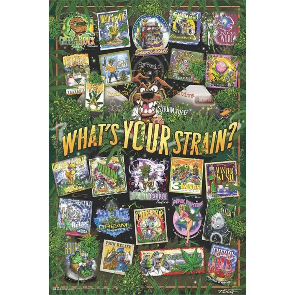 T-Dog Weed Strains Poster - 24"X33" 1