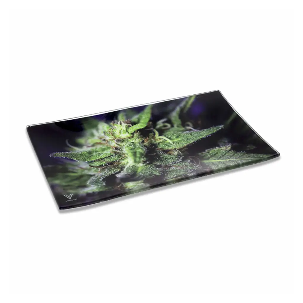 Blue Dream Glass Tray 1