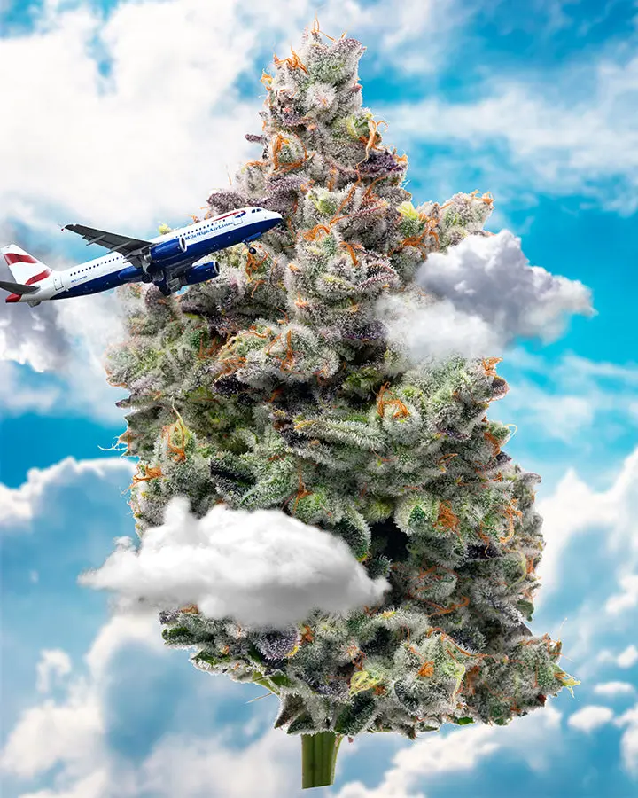 Surface_Area999 “Mile High Club" 6.1" X 8.1" 85 Piece 1/4 Inch Thick Maple Wood Jigsaw Puzzle 1