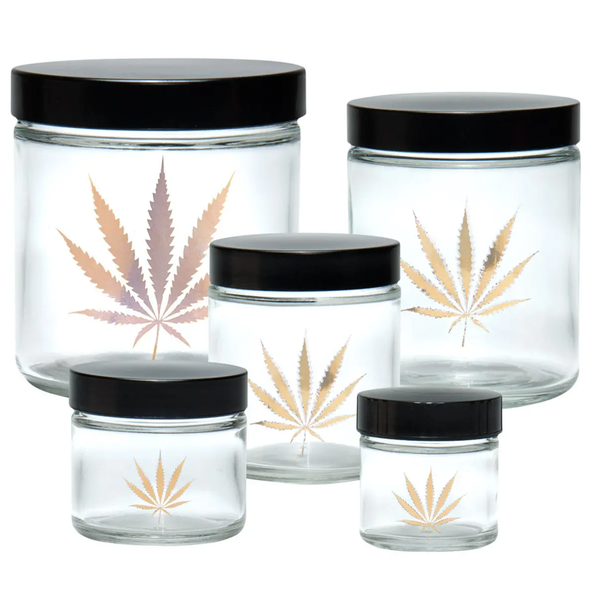 Jr979 420 Science Clear Screw Top Jar - Gold Leaf 1