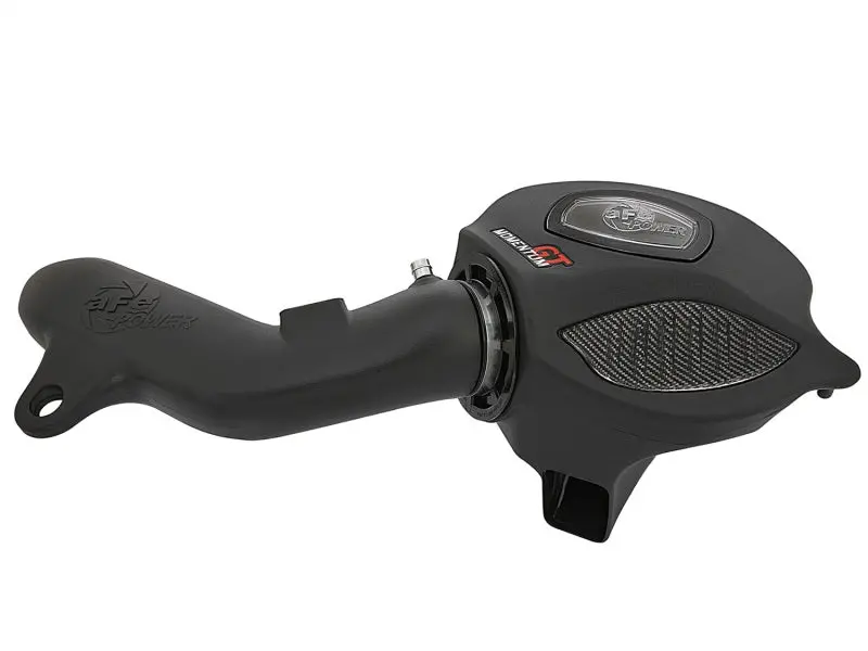 Afe Momentum Gt Pro Dry S Cold Air Intake System 16-17 Bmw M2 (F87) L6 3.0L (T) N55 1