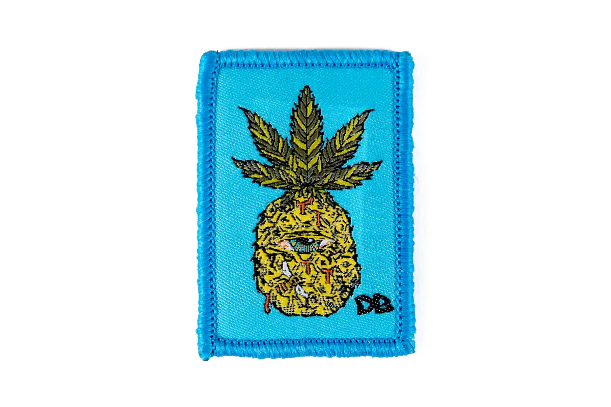 Ellie Paisley Eyenapple Patch 1