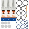 Storz & Bickel Solid Valve Wear & Tear Set 1
