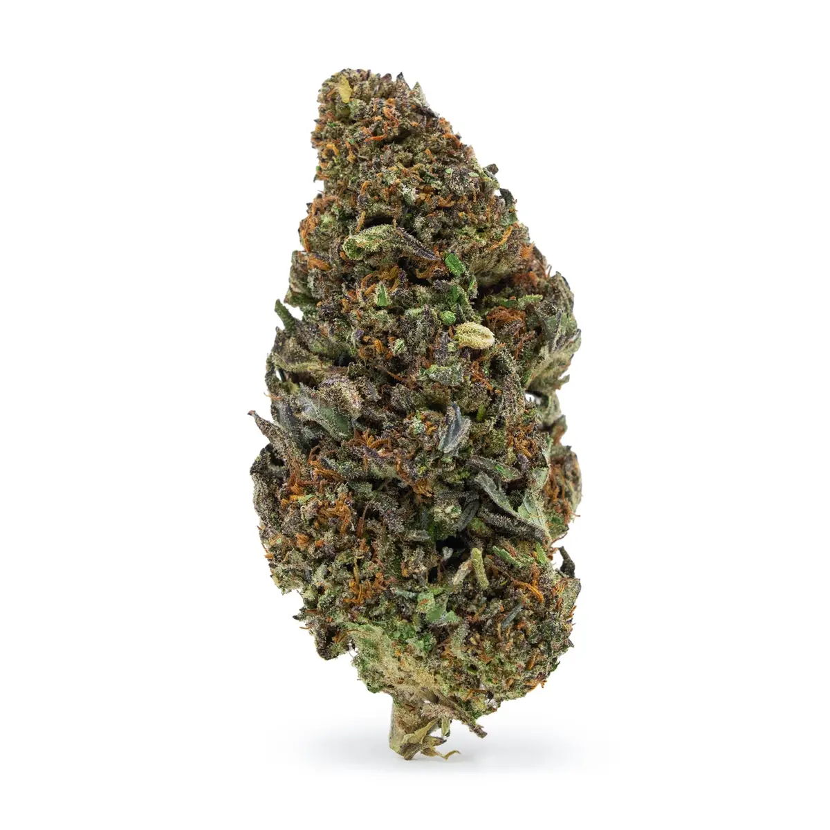 Cosmic Cookie (Cbd) 1