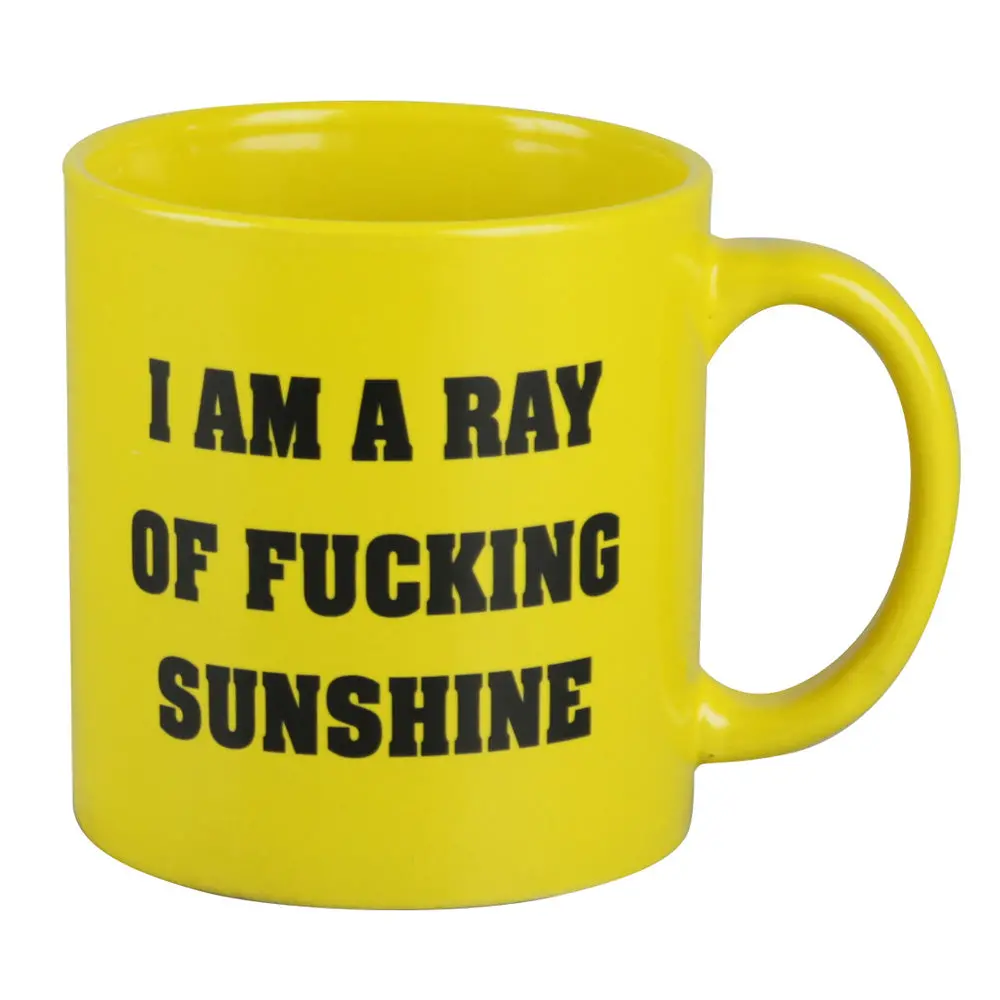 I Am A Ray Of Fucking Sunshine Mug 1