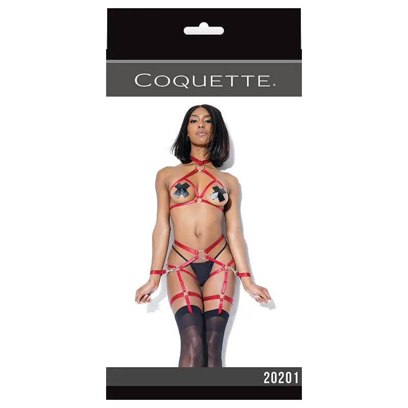 Darque Harness Top And Crotchless Panty Merlot 1