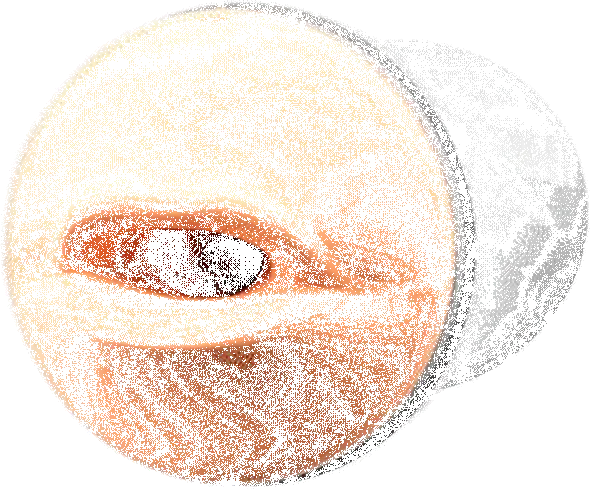 Maxtasy Suction Master Realistic With Remote Nude Plus 2