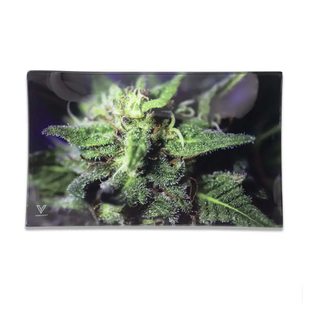 Blue Dream Glass Tray 2